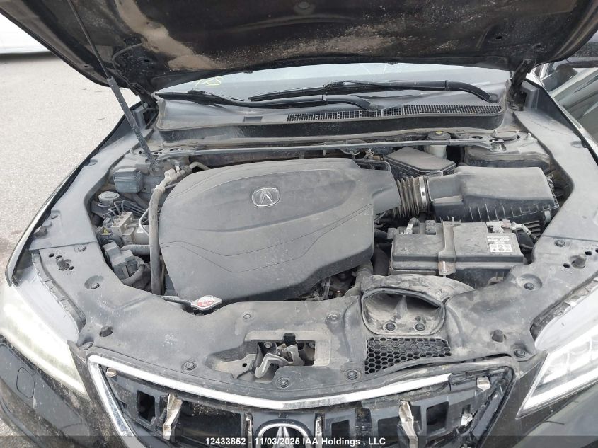 2017 Acura Tlx Elite VIN: 19UUB3F72HA800064 Lot: 12433852