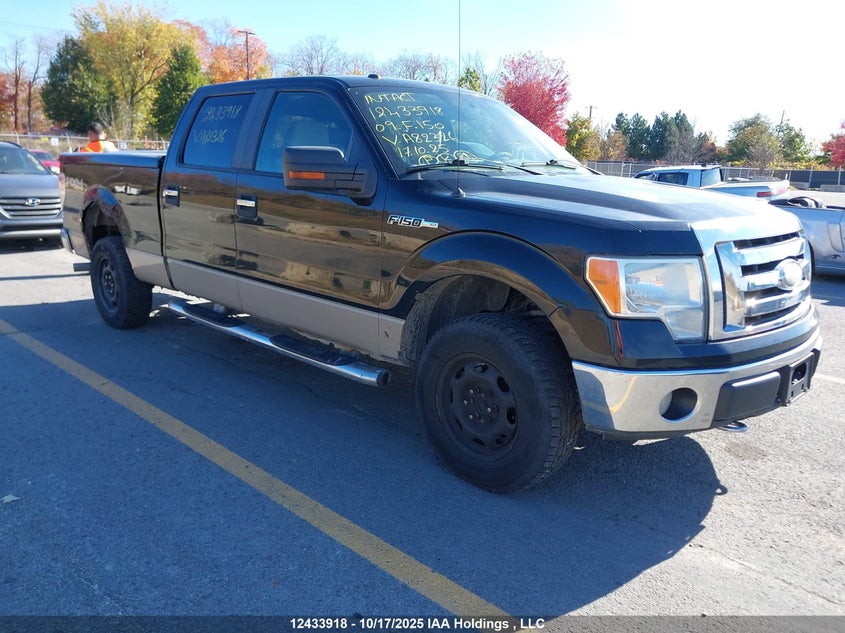 1FTPW14V59FA82326 2009 Ford F-150 auction photo 1