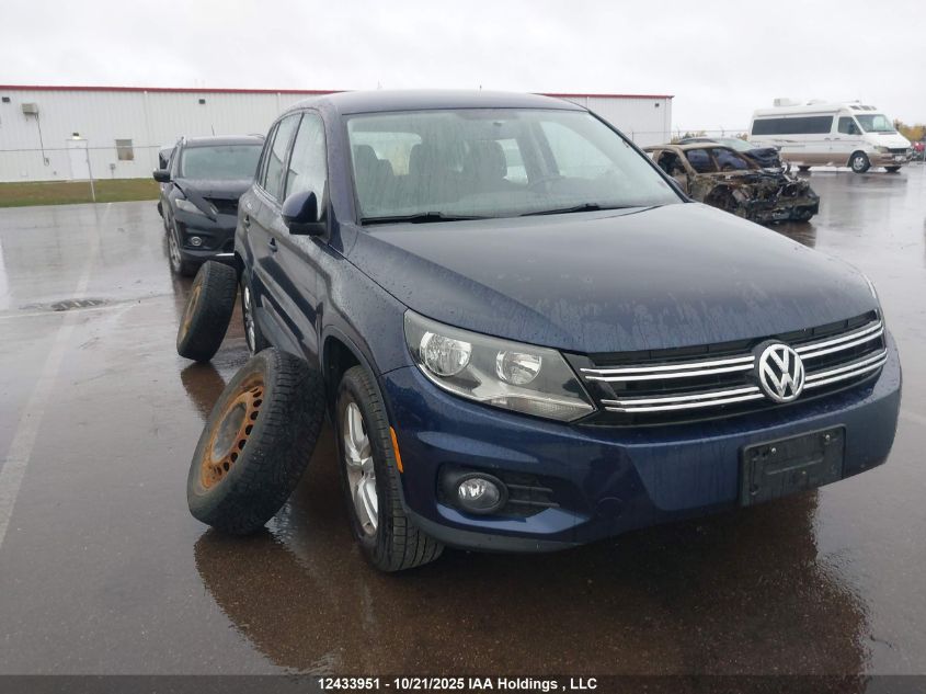 2013 Volkswagen Tiguan S/Se/Sel VIN: WVGJV3AX0DW620820 Lot: 12433951