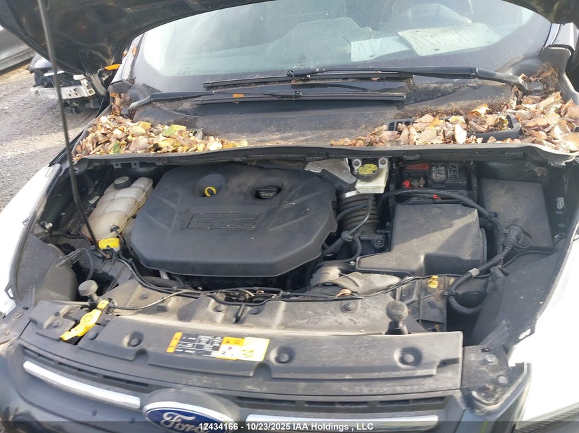 1FMCU0G96DUA36856 2013 FORD ESCAPE photo no. 10