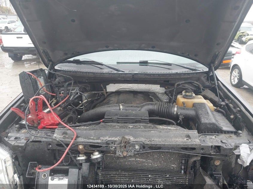 1FTFW1ET5BFC68477 2011 FORD F-150 photo no. 10