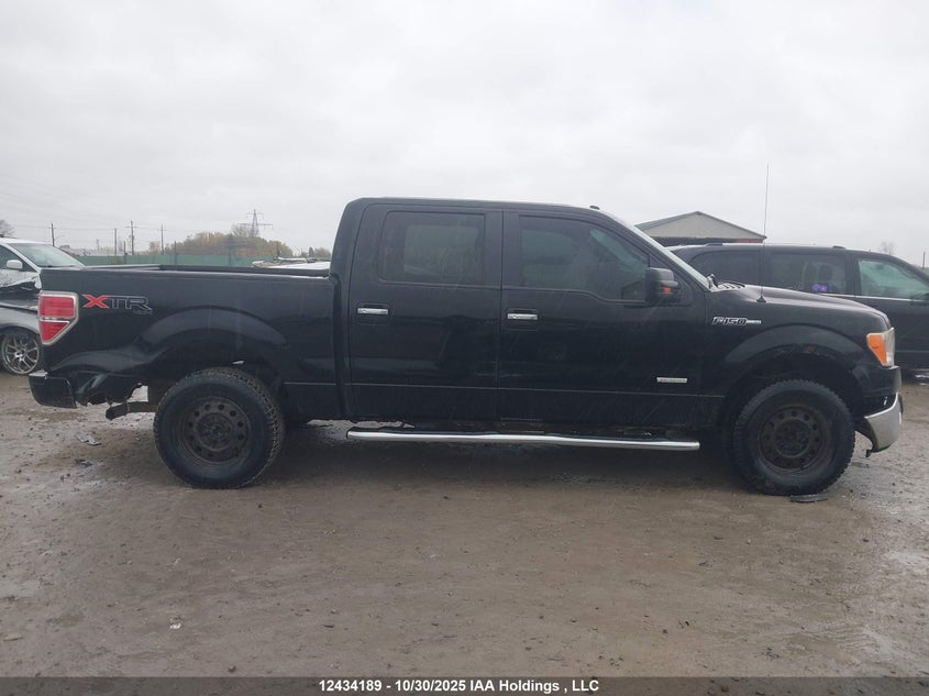 1FTFW1ET5BFC68477 2011 FORD F-150 photo no. 14
