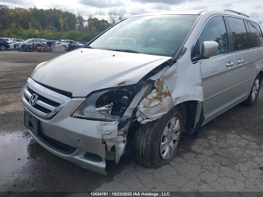 5FNRL38437B512256 2007 HONDA ODYSSEY photo no. 6
