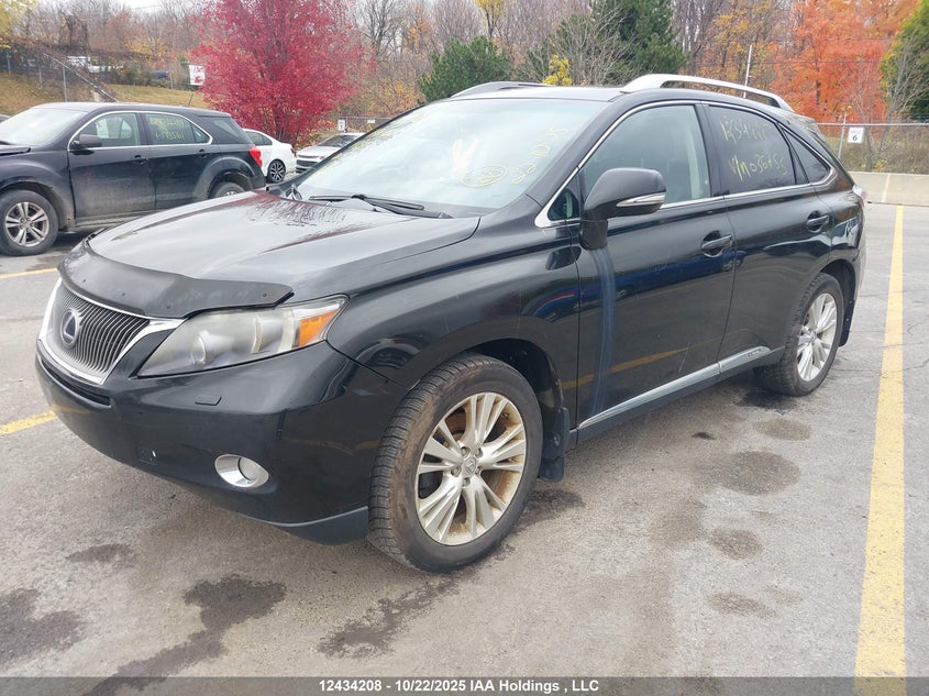 JTJBC1BA0B2036755 2011 LEXUS RX photo no. 2