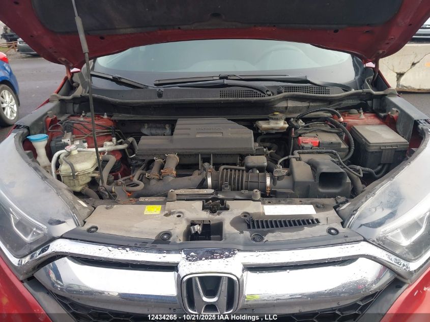 2019 Honda Cr-V VIN: 2HKRW2H59KH116577 Lot: 12434265