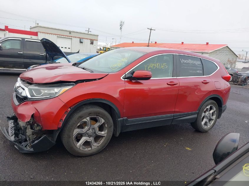 2019 Honda Cr-V VIN: 2HKRW2H59KH116577 Lot: 12434265
