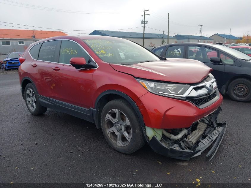 2019 Honda Cr-V VIN: 2HKRW2H59KH116577 Lot: 12434265