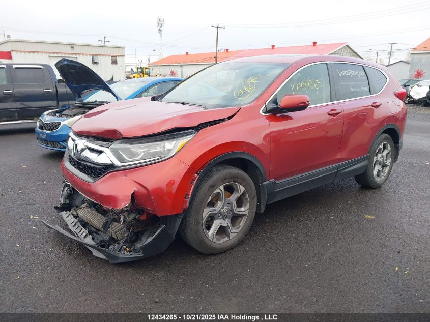 2019 Honda Cr-V VIN: 2HKRW2H59KH116577 Lot: 12434265