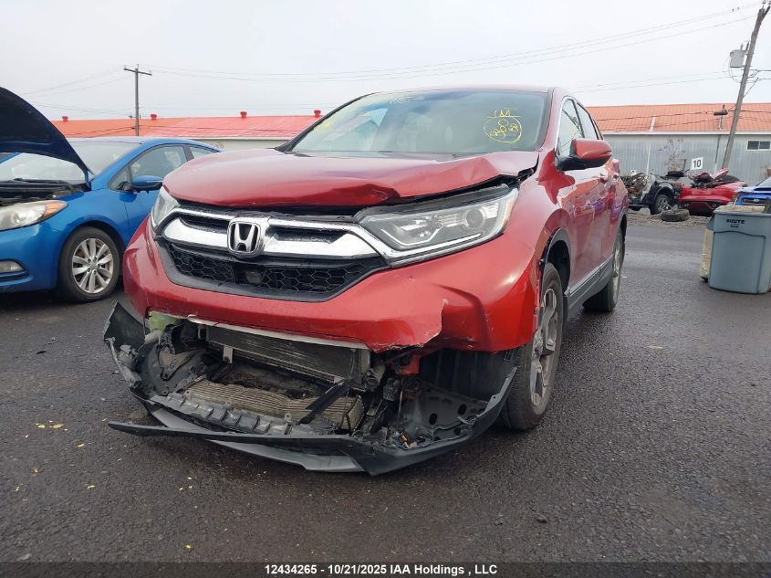 2019 Honda Cr-V VIN: 2HKRW2H59KH116577 Lot: 12434265