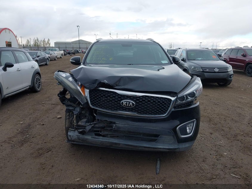 5XYPGDA5XHG330701 2017 KIA SORENTO photo no. 13