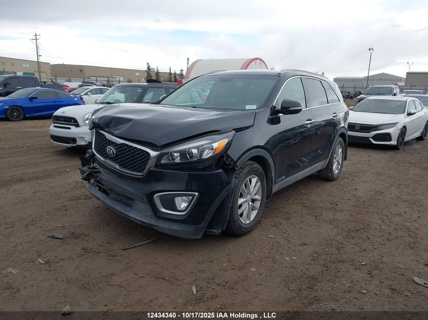 5XYPGDA5XHG330701 2017 KIA SORENTO photo no. 2