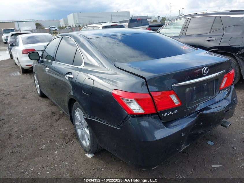 JTHBJ46GX72113923 2007 LEXUS ES photo no. 3
