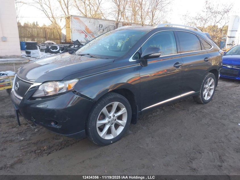 2T2BK1BA1BC114334 2011 LEXUS RX photo no. 2