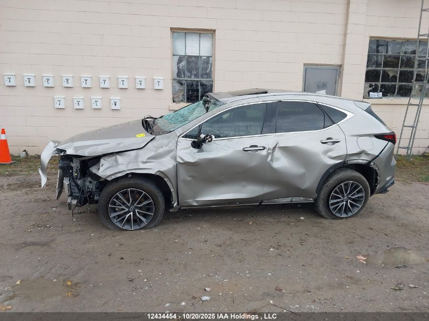 2024 Lexus Nx 350H 350H VIN: 2T2GKCEZ4RC030134 Lot: 12434454