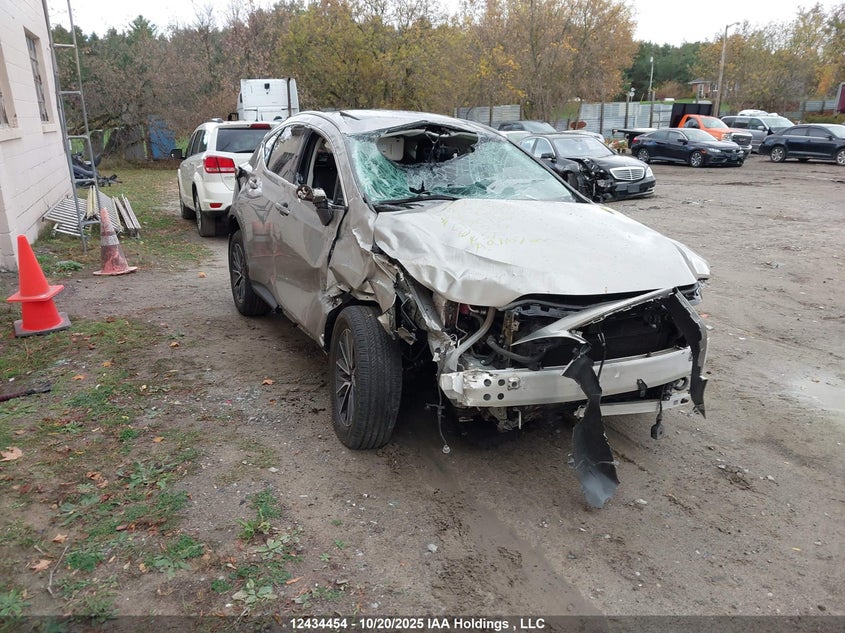 2T2GKCEZ4RC030134 2024 LEXUS NX photo no. 10
