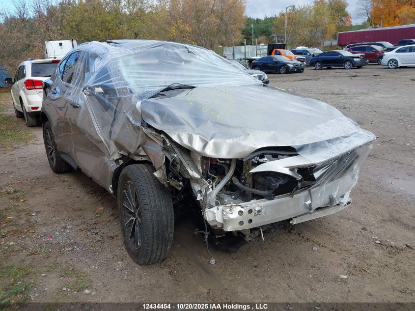 2024 Lexus Nx 350H 350H VIN: 2T2GKCEZ4RC030134 Lot: 12434454