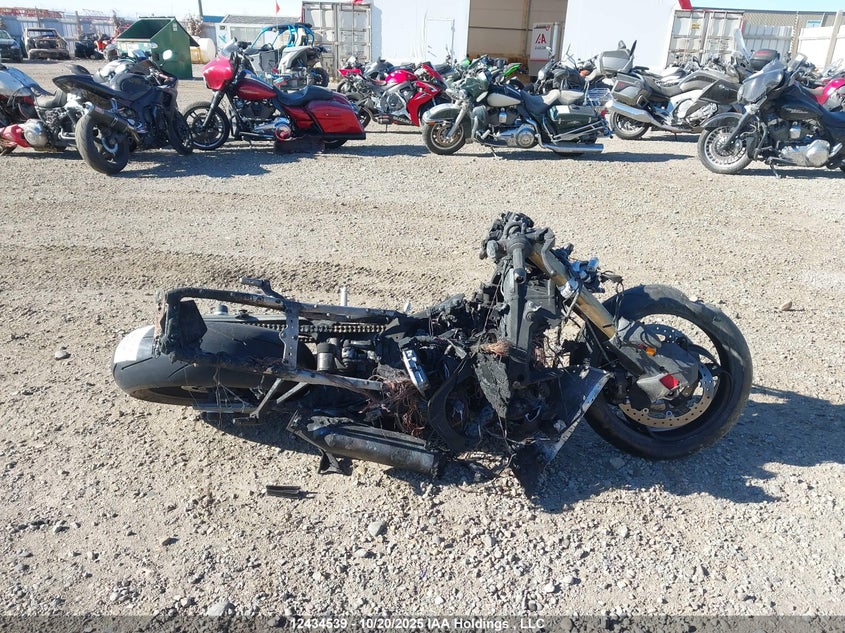 WB10P2303S6L65613 2025 BMW S 1000 photo no. 12
