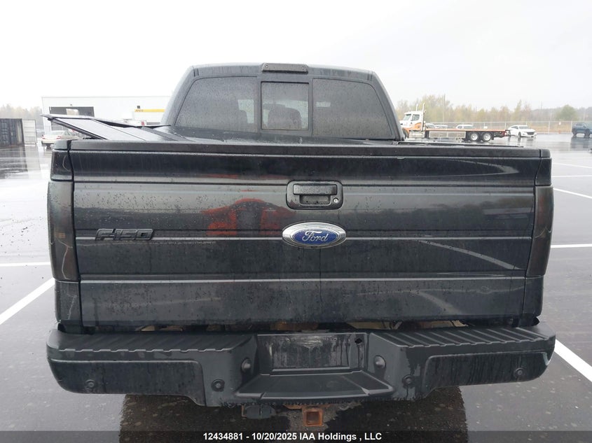 1FTFW1ETXCFA00347 2012 FORD F-150 photo no. 17