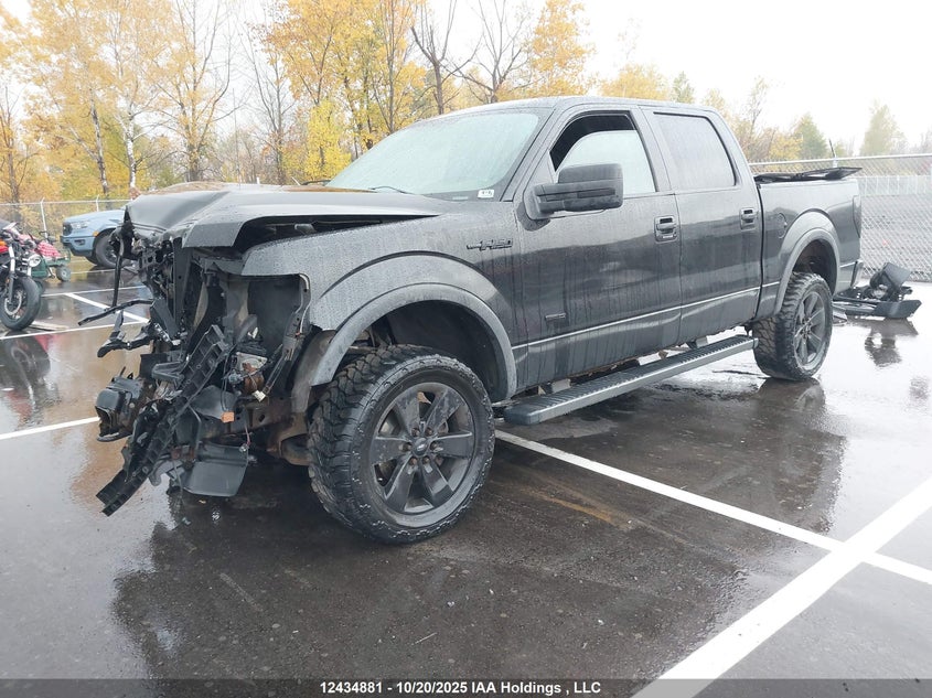 1FTFW1ETXCFA00347 2012 FORD F-150 photo no. 2