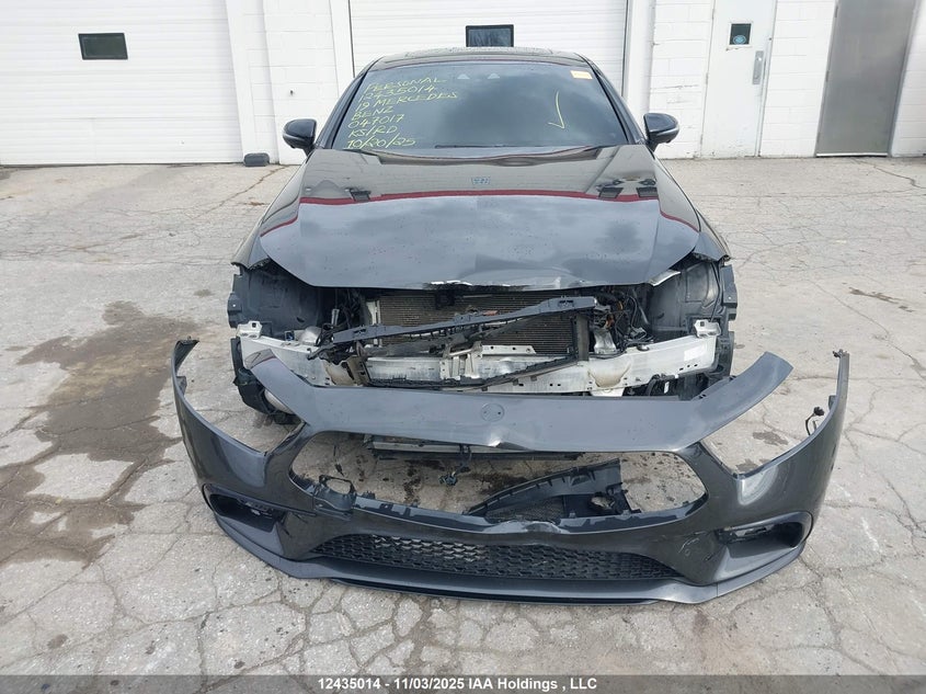 2019 Mercedes-Benz Cls Amg 53 4Matic VIN: WDD2J6BB5KA047017 Lot: 12435014