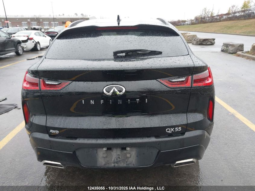 2024 Infiniti Qx55 Luxe VIN: 3PCAJ5JR0RF108404 Lot: 12435055
