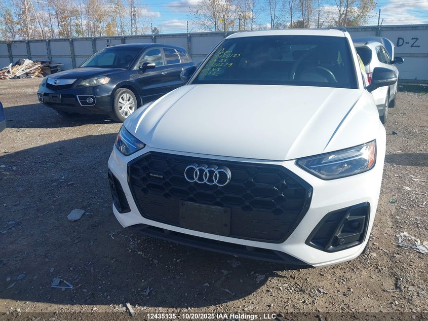 2023 Audi Q5 45 Progressiv VIN: WA1EAAFY0P2120279 Lot: 12435135