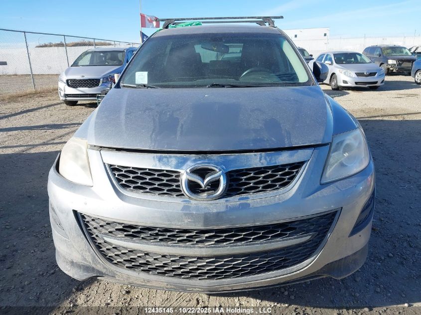 2010 Mazda Cx-9 VIN: JM3TB3MA9A0222377 Lot: 12435145