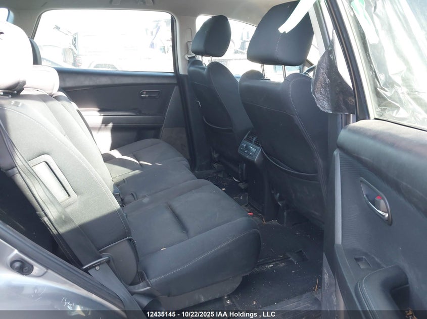 2010 Mazda Cx-9 VIN: JM3TB3MA9A0222377 Lot: 12435145