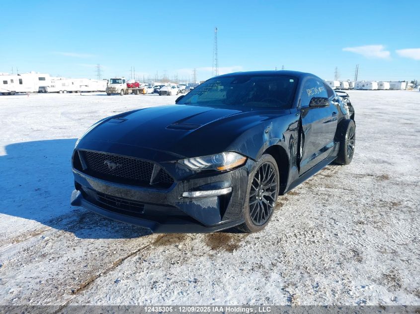 2021 Ford Mustang Gt VIN: 1FA6P8CF7M5128206 Lot: 12435305