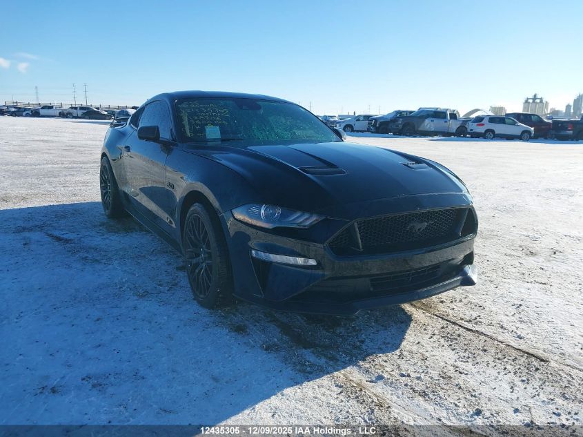 2021 Ford Mustang Gt VIN: 1FA6P8CF7M5128206 Lot: 12435305