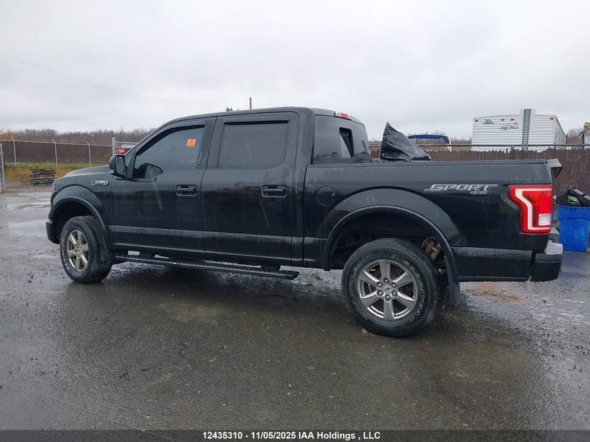 1FTEW1EF2FFB64766 2015 FORD F-150 photo no. 14