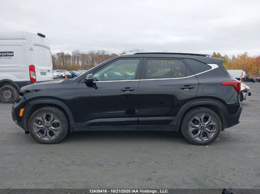 2024 Kia Seltos VIN: KNDEUCAA4R7580201 Lot: 12435416