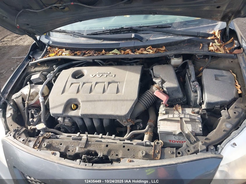 2009 Toyota Corolla S/Le/Xle VIN: 2T1BU40E19C055107 Lot: 12435449