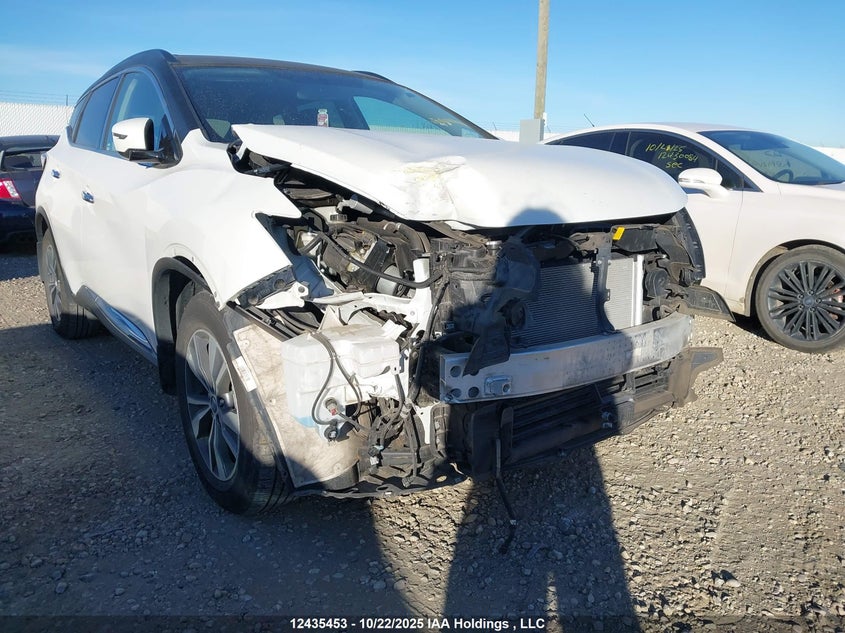 2019 Nissan Murano S VIN: 5N1AZ2MJ3KN114259 Lot: 12435453