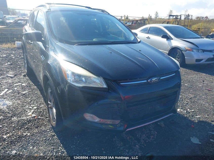 1FMCU0GX0DUA01647 2013 Ford Escape Se auction photo 1