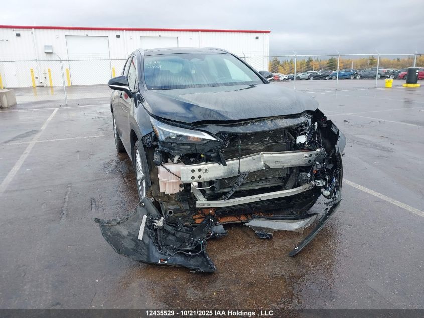 2024 Lexus Nx 350H 350H VIN: 2T2GKCEZ4RC027959 Lot: 12435529