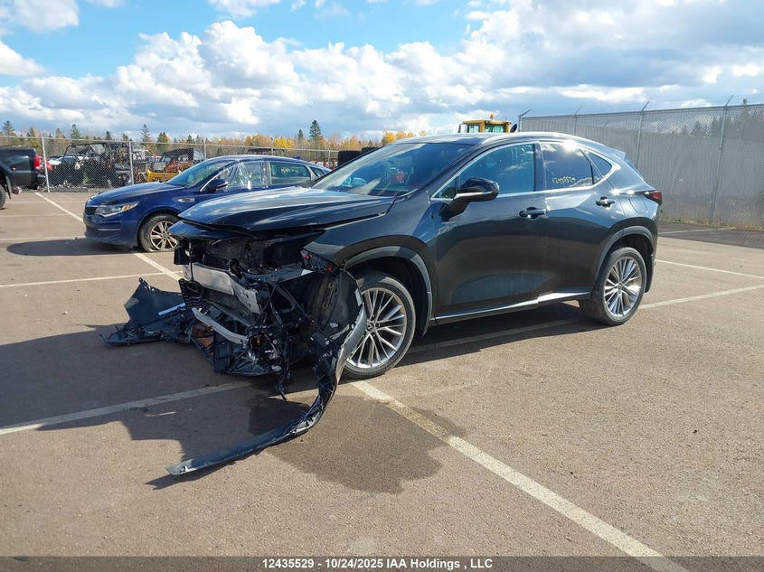 2T2GKCEZ4RC027959 2024 LEXUS NX photo no. 2