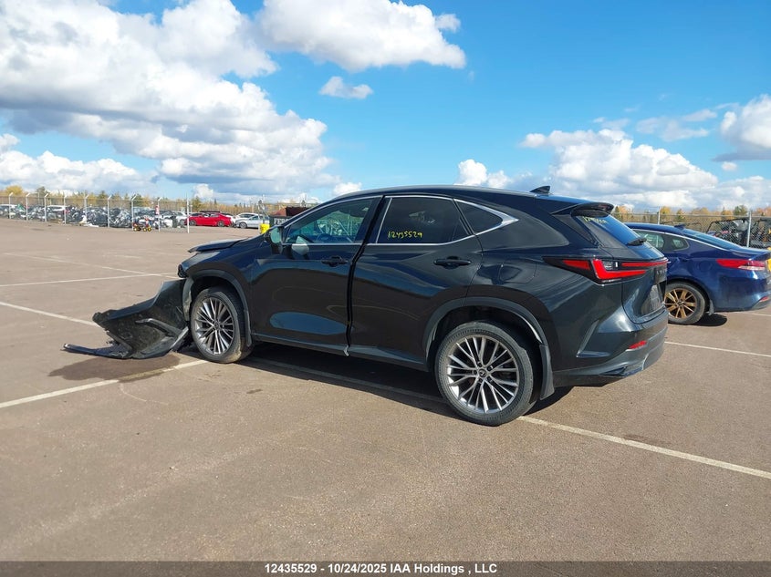 2T2GKCEZ4RC027959 2024 LEXUS NX photo no. 3
