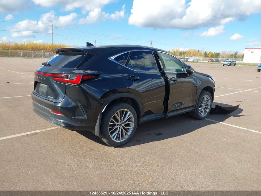 2T2GKCEZ4RC027959 2024 LEXUS NX photo no. 4