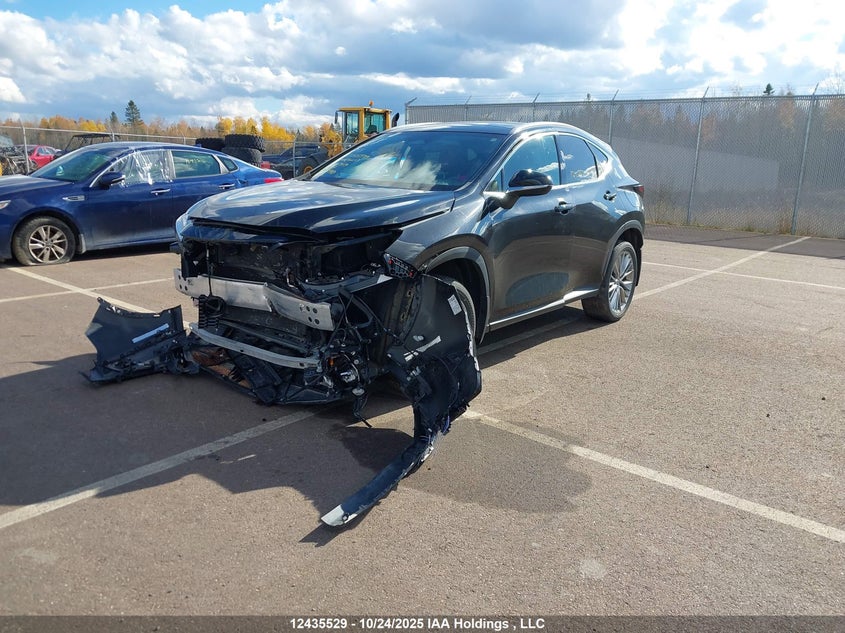 2024 Lexus Nx 350H 350H VIN: 2T2GKCEZ4RC027959 Lot: 12435529