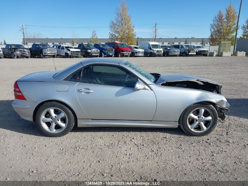 2004 Mercedes-Benz Slk 320 VIN: WDBKK65F04F304997 Lot: 12435629