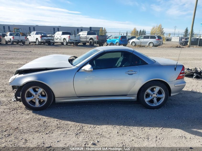 2004 Mercedes-Benz Slk 320 VIN: WDBKK65F04F304997 Lot: 12435629