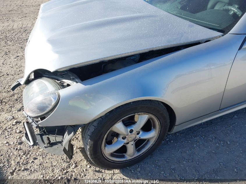 2004 Mercedes-Benz Slk 320 VIN: WDBKK65F04F304997 Lot: 12435629