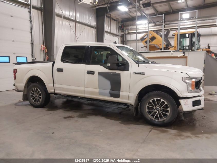 2020 Ford F150 Supercrew VIN: 1FTEW1E57LFB23956 Lot: 12435687