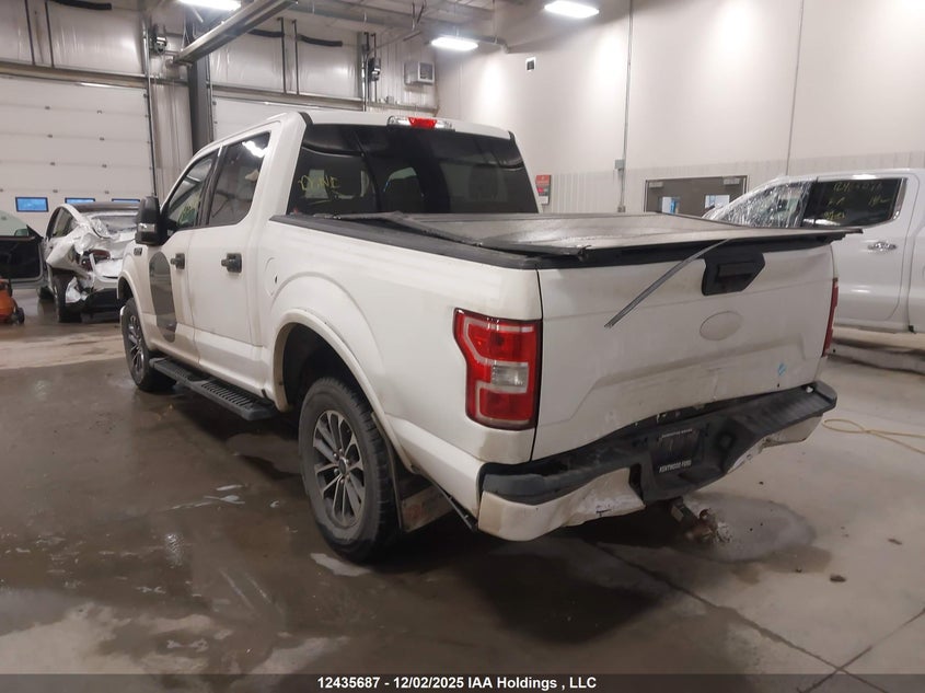 1FTEW1E57LFB23956 2020 FORD F-150 photo no. 3