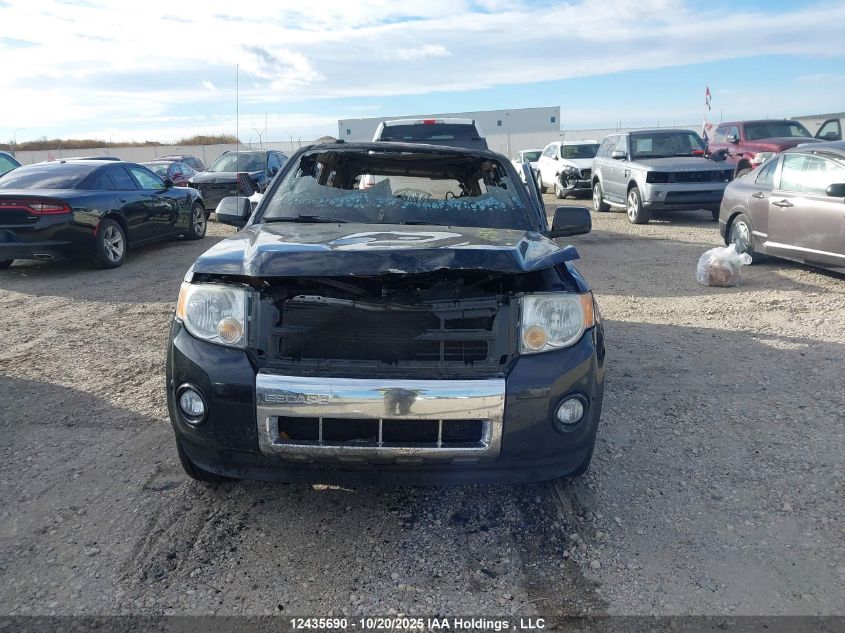 2010 Ford Escape Limited VIN: 1FMCU9EG5AKB49663 Lot: 12435690