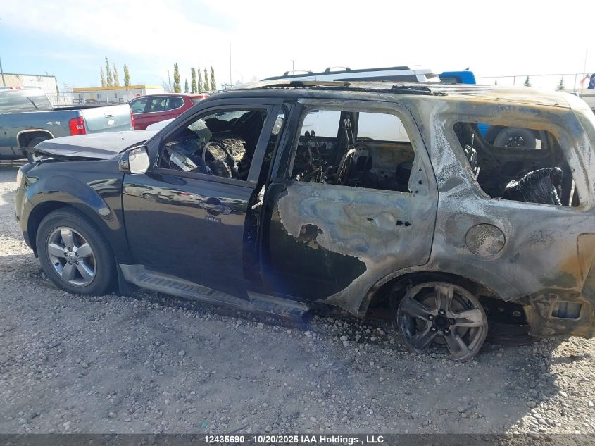 2010 Ford Escape Limited VIN: 1FMCU9EG5AKB49663 Lot: 12435690