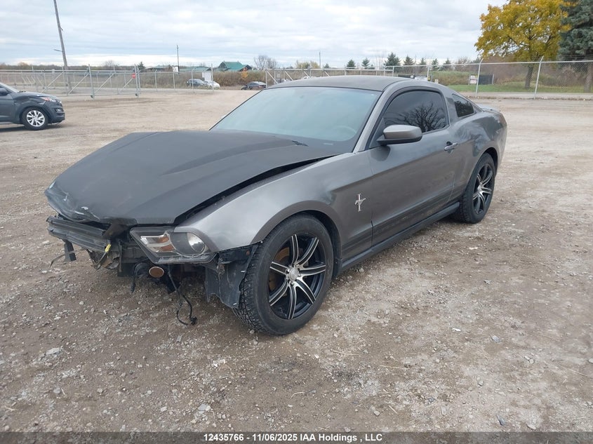 1ZVBP8ANXA5125179 2010 FORD MUSTANG photo no. 2