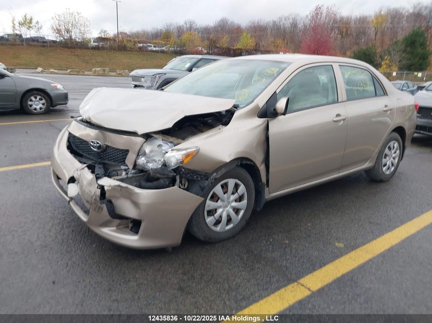 2T1BU40E19C076281 2009 TOYOTA COROLLA photo no. 2