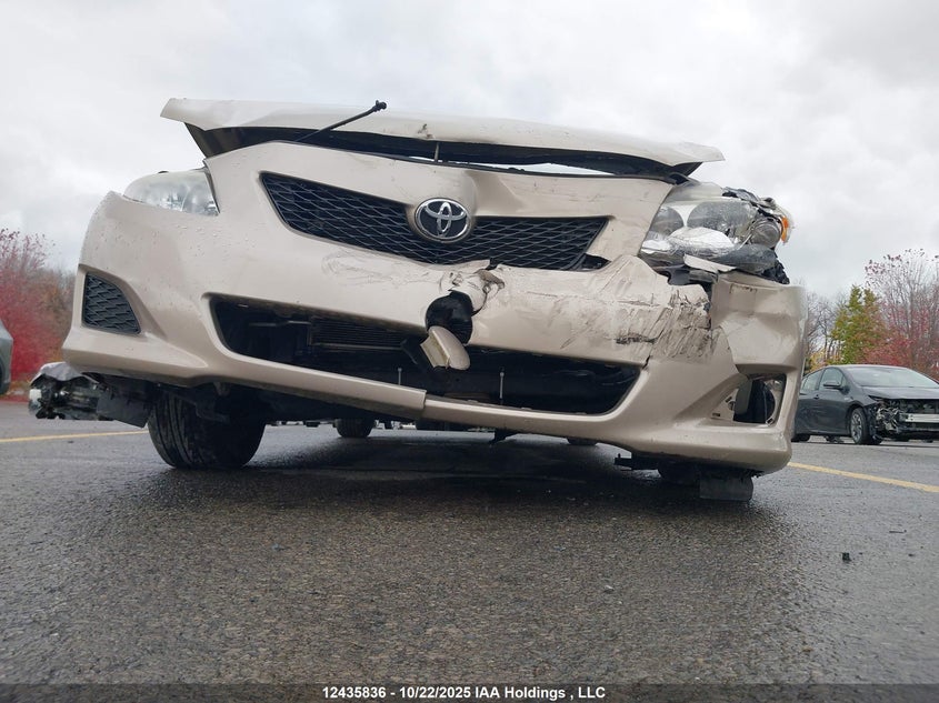 2T1BU40E19C076281 2009 TOYOTA COROLLA photo no. 6
